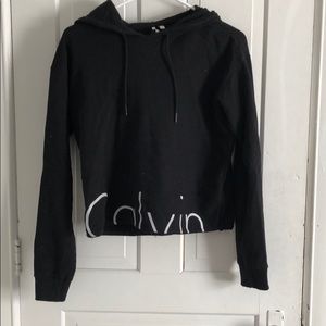 calvin sweatshirt